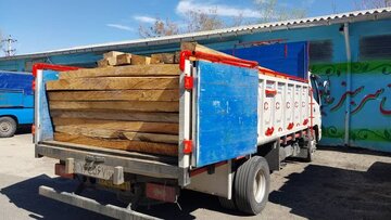 بیش از ۱۸۰ اصله الوار قاچاق جنگلی در استان اردبیل کشف شد
