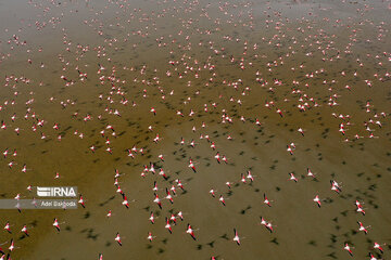 Return of life to Lake Urmia