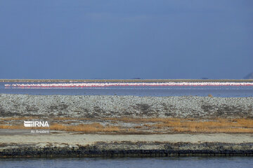 Return of life to Lake Urmia