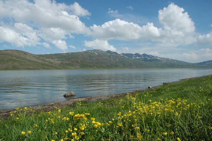 ۱۱ سد استان اردبیل برای توسعه گردشگری آبی به بخش خصوصی واگذار می‌شود
