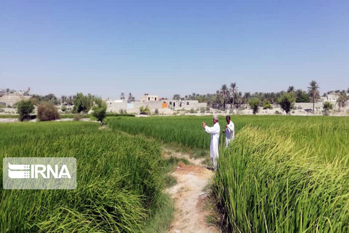 سیستان و بلوچستان و جذابیتهای بکر گردشگری میزبان ۲میلیون مسافر نوروزی
