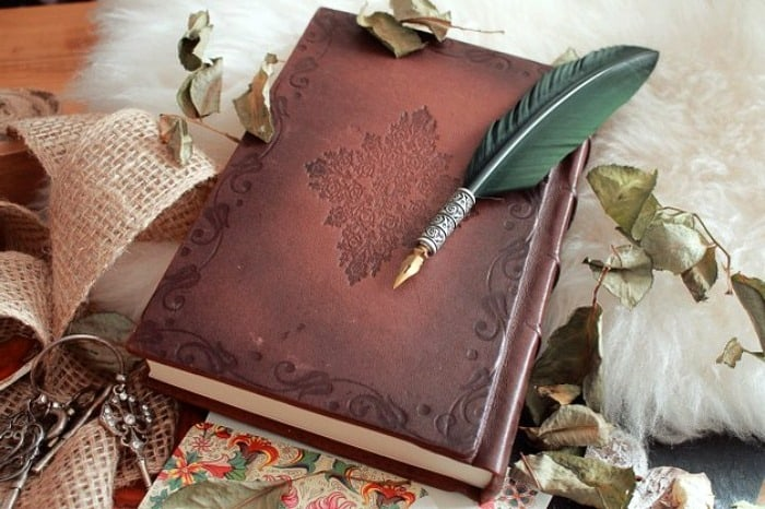 چیزهایی که پشه و حشرات رو جذب خانه می کنند