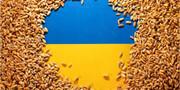 اتحادیه اروپا ممنوعیت صادرات غلات اوکراین را به پنج کشور تمدید کرد
