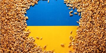 اتحادیه اروپا ممنوعیت صادرات غلات اوکراین را به پنج کشور تمدید کرد
