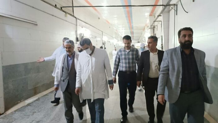 رفع مشکل تامین نهاده مرغداران خوزستان به زودی/ کمبود بازار به مرغ برطرف میشود