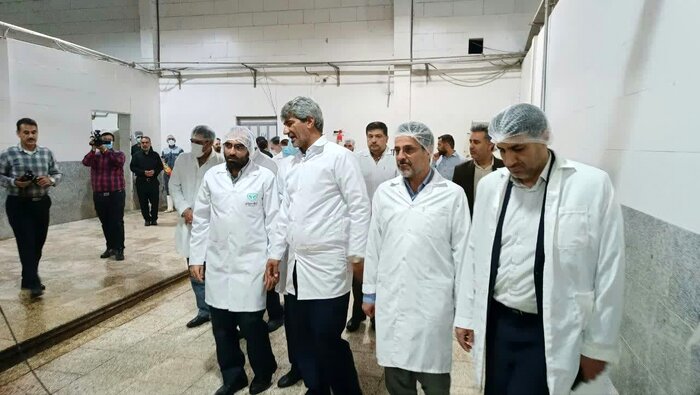 رفع مشکل تامین نهاده مرغداران خوزستان به زودی/ کمبود بازار به مرغ برطرف میشود