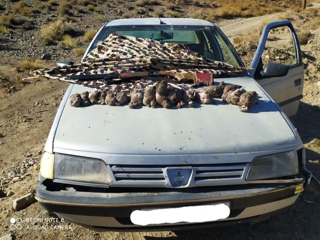 سه صیاد غیرمجاز پرنده‌های کوه‌سیاه بوشهر به دام افتادند