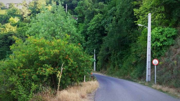 جاذبههای لیلا کوه با طبیعتی زیبا در شمال