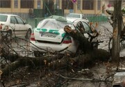 طوفان مازندران را درنوردید/ قطعی برق برخی مناطق استان