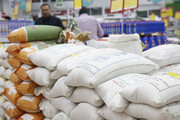 واردات بی‌رویه باعث رکود بازار برنج ارقام پرمحصول مازندران شده است