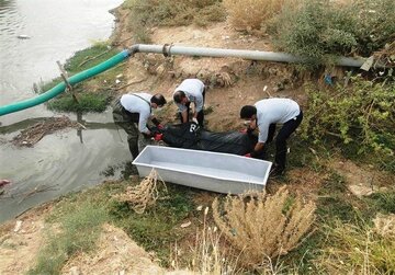 کشف جسد در ساحل نفت‌چال بابلسر