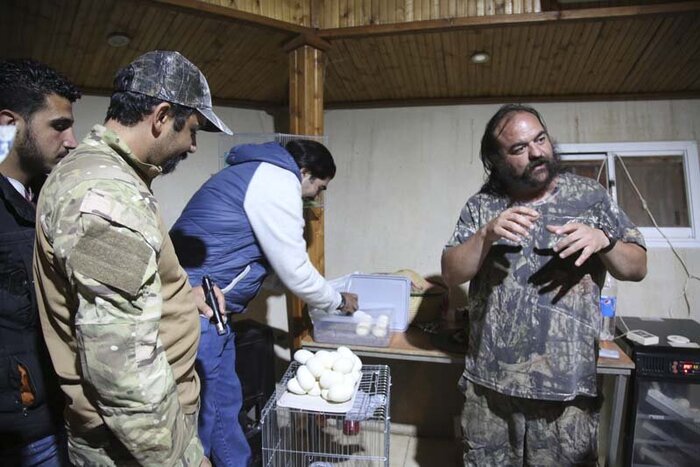 دومین مار پیتون پارک چمران کرج تخمگذاری کرد