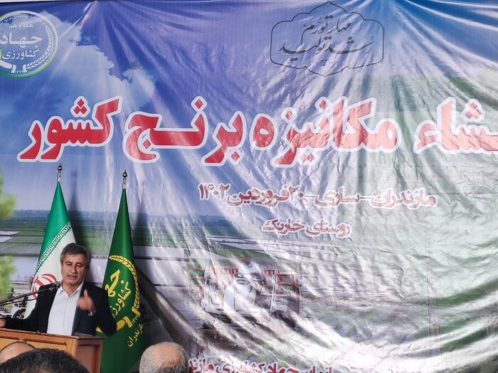 نیاز به واردات برنج خارجی امسال تقریبا صفر است