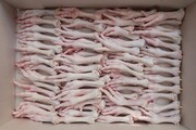 یکهزار و ۲۳۰ تن پا و پنجه مرغ از یزد به خارج کشور صادر شد