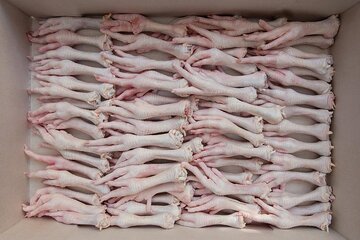 یکهزار و ۲۳۰ تن پا و پنجه مرغ از یزد به خارج کشور صادر شد