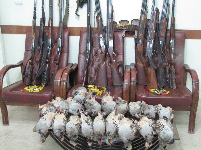 پایش فضای مجازی ۵۰ متخلف زیستمحیطی بوشهر را به دام انداخت