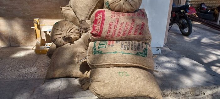 قاچاقچی قارچ کمیاب جنگلی در شاهرود ۷۰۰ میلیون تومان جریمه شد