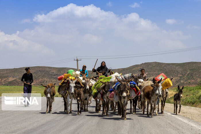 همگام با مردان ایل در سنگر تولید