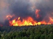 گردشگران نسبت به خطر آتش سوزی اراضی جنگلی و تالابی هوشیار باشند 