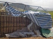 بارش های شدید به روستاها و  ۱۰ خانوار عشایری شهرستان چوار خسارت وارد کرد