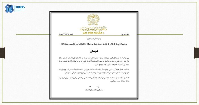 اقتصاد تریاک و مقایسه دو طالبان 2 پایگاه خبری ججین اقتصاد تریاک و مقایسه دو طالبان