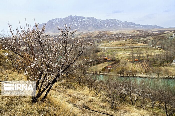 پرداخت قطره‌چکانی خسارت‌های کشاورزی؛ بی‌رغبتی کشاورزان به بیمه در اردبیل 