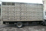 توقیف کامیون‌های حامل مرغ قاچاق در بیرجند