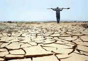 نماینده مجلس: حدود ۸۰ هزار هکتار از اراضی کشاورزی شرق مازندران با خشکسالی مواجه است