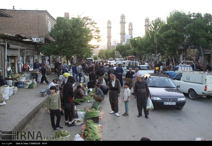 سخاوتمندی بهار در بازار گیاهان خوراکی مهاباد + فیلم