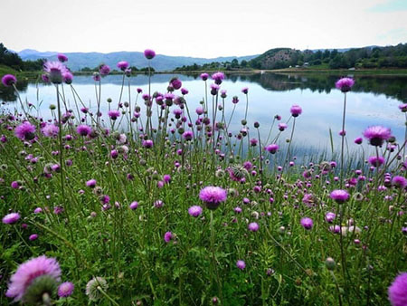 دریاچه عروس حلیمه جان؛طلوعهایی سرسبز و غروبهایی جادویی