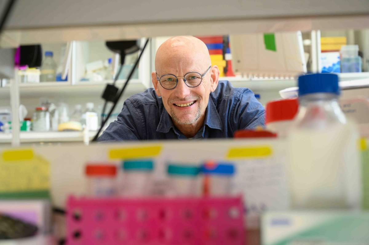 نوآوری پزشکی برای درمان بافت قلب پیش از وقوع حمله قلبی