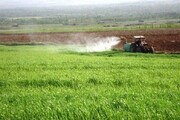مبارزه با علف‌های هرز در سطح ۲ میلیون هکتار اراضی کشاورزی