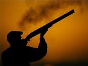 چهار قبضه اسلحه از یک شکارچی غیرمجاز در مشهد کشف شد
