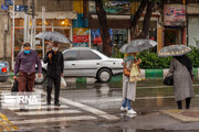 زمستان در بهار؛ تداوم ناپایداری جوی و بارش باران در مازندران