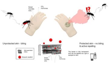 نجات از نیش پشه‌ها با کریستال نانوسلولزی + فیلم
