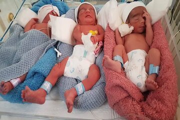 تولد نوزادان سه قلو در دومین زایمان یک مادر قمی
