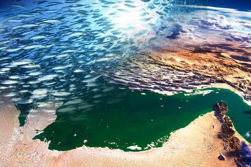 خلیج فارس؛ عضو رئیسه پیکرۀ ایران خلیج فارس؛ عضو رئیسه پیکرۀ ایران