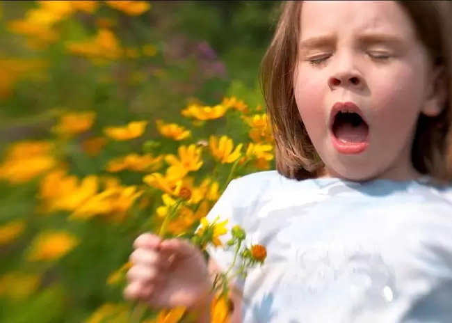 همه چیز در مورد آلرژی فصلی در کودکان