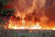 آتش سوزی گسترده در جنگل های جنوب فرانسه 