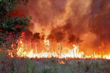 آتش سوزی گسترده در جنگل های جنوب فرانسه 