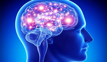 ارزیابی نمونه‌برداری مجازی ضایعات مغزی با استفاده از رادیومیکس