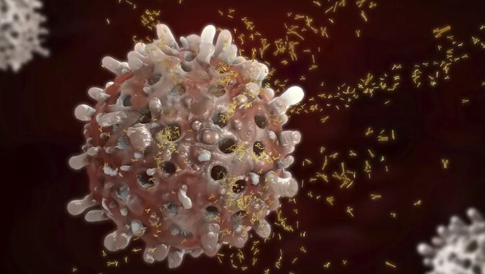 ویروس های میلیونها سال قبل به مبارزه با سرطان کمک میکنند