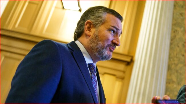 نامزدهای انتخابات ریاست جمهوری ۲۰۲۴ آمریکا در یک قاب،آیا تاریخ تکرار میشود؟