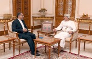 ایران و عمان راه‌های توسعه همکاری‌ را بررسی کردند 