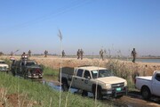 عملیات نیروهای مسلح عراق برای پاکسازی «الطارمیه» در شمال پایتخت 