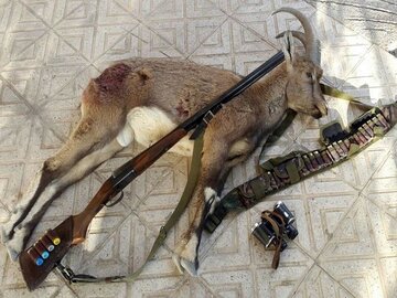 شکارچیان غیرمجاز ۴۰ میلیارد ریال به محیط زیست خراسان رضوی خسارت زدند