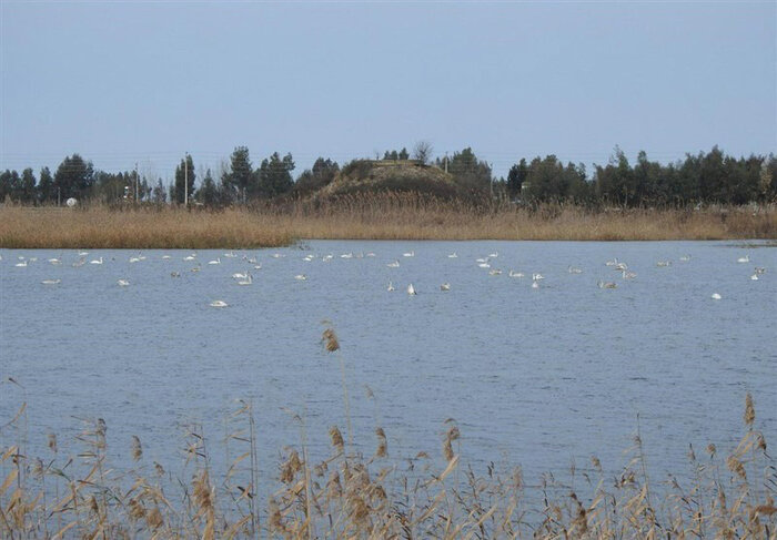 تدبیر دولت بر کاهش اثرات محیطزیستی طرح گردشگری آشوراده