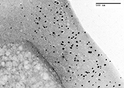 تولید دستمالمرطوب آنتیباکتریال با قابلیت شست و شو و استفاده مجدد