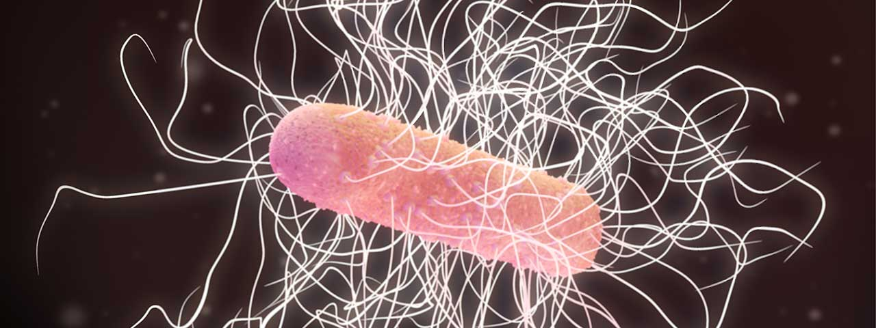 کشف مکانیسم مولکولی عامل مقاومت باکتری در برابر آنتی بیوتیک