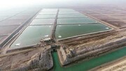 حل درون‌زای چالش‌‎های آبزی‌پروری بوشهر